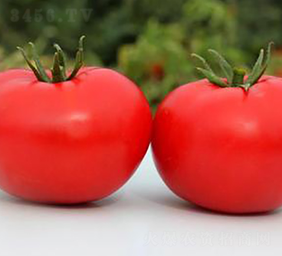 TA08-���ѷN��-�G�x�N�I(y��)