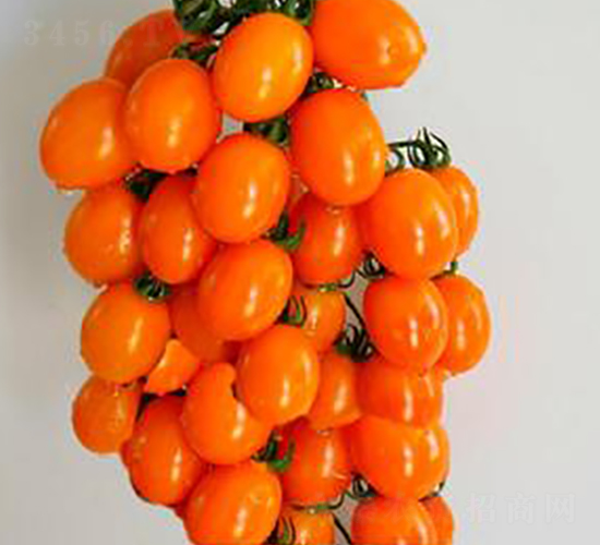 TM170-���ѷN��-�G�x�N�I(y��)