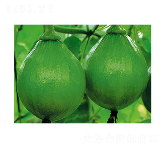 �n������-�ϹϷN��-���}�r(n��ng)�I(y��)