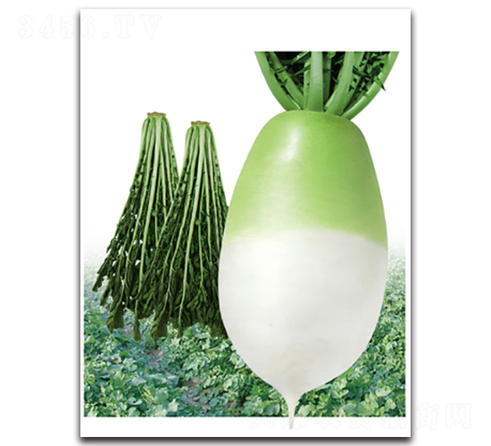 �~�G��-�}���N��-���}�r(n��ng)�I(y��)