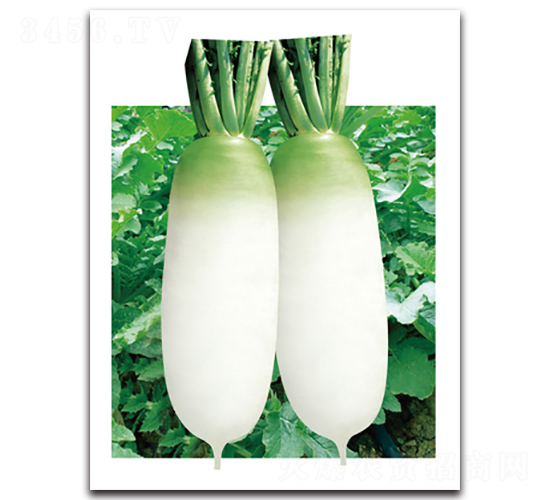 �ഺ�}��-�}���N��-���}�r(n��ng)�I(y��)