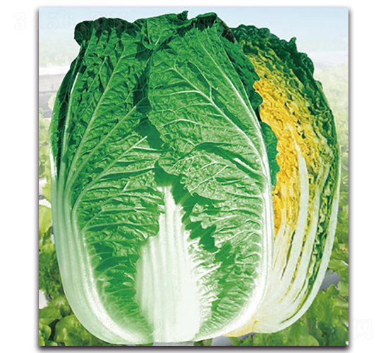 �ļ�ɽ��-�ײ˷N��-���}�r(n��ng)�I(y��)