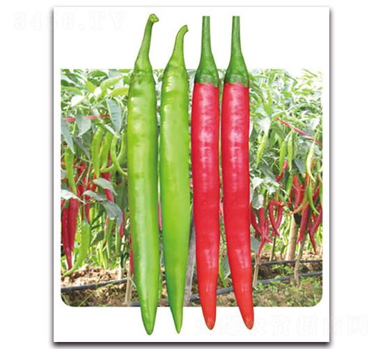 ���ί-�����N��-���}�r�I(y��)