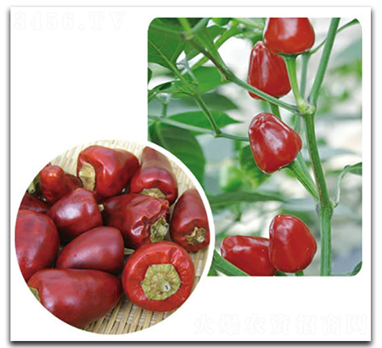 ������-�����N��-���}�r(n��ng)�I(y��)