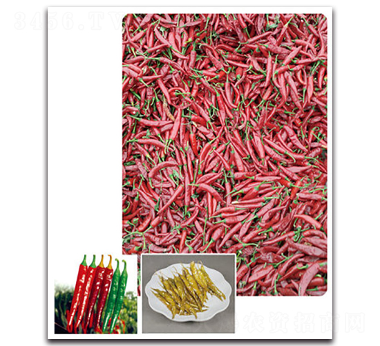 ��G���(y��ng)-�����N��-���}�r(n��ng)�I(y��)