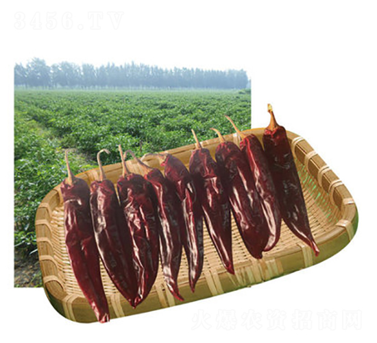 ��G����-�����N��-���}�r(n��ng)�I(y��)