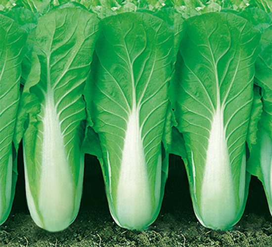 �֠����2̖-��˷N��-�֠��r(n��ng)�I(y��)