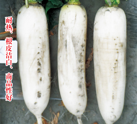 �׸���-�}���N��-�֠��r(n��ng)�I(y��)