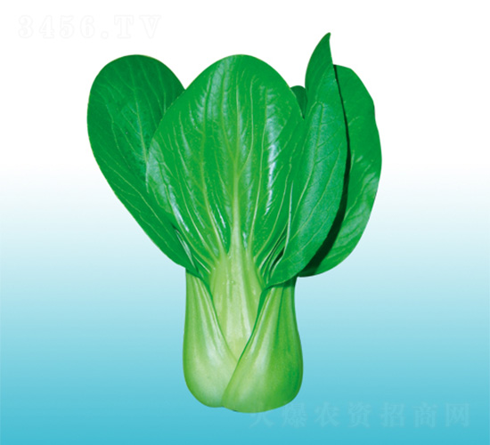 �֠�917-�๣�˷N��-�֠��r(n��ng)�I(y��)