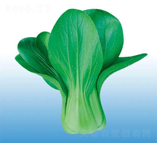 ��������-�๣�˷N��-�֠��r(n��ng)�I(y��)