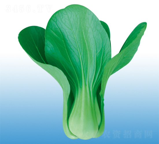 ���-�๣�˷N��-�֠��r(n��ng)�I(y��)