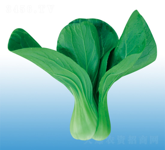 �\�-�๣�˷N��-�֠��r(n��ng)�I(y��)