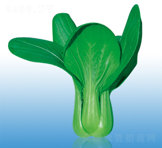 �֠�933-�๣�˷N��-�֠��r(n��ng)�I(y��)