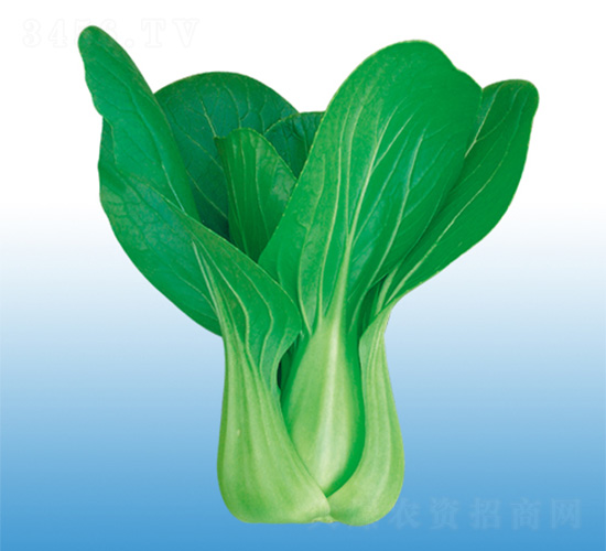 ����-�๣�˷N��-�֠��r(n��ng)�I(y��)