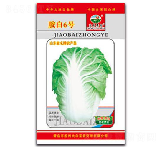 �z��6̖-�ײ˷N��-�z��