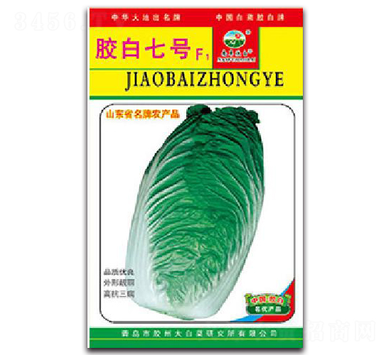 �z����̖F1-�ײ˷N��-�z��