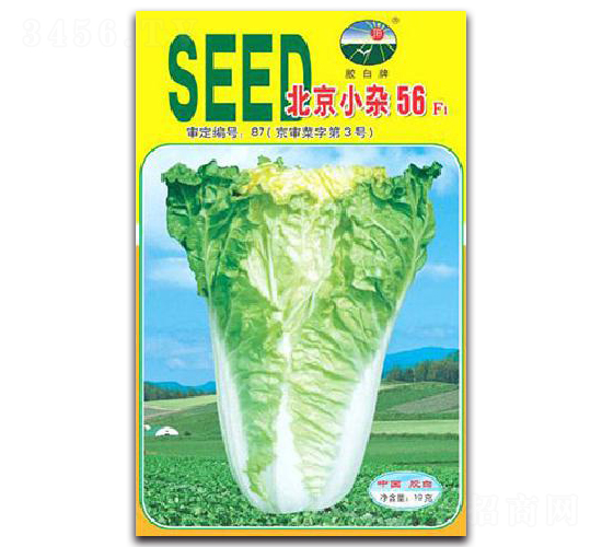 ����С�s56F1-�ײ˷N��-�z��