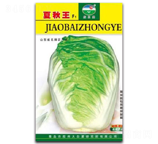 �z��������-�ײ˷N��-�z��