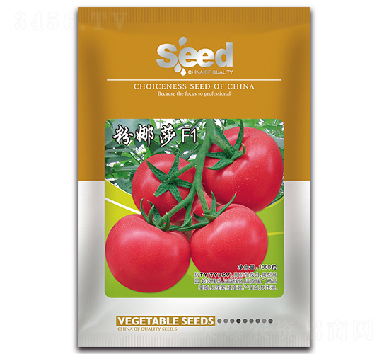 ����ɯ-���ѷN��-�S�T�N�I(y��)