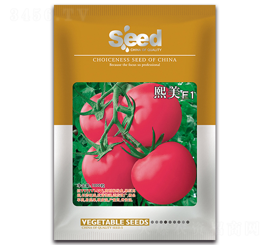 ����F1-���ѷN��-�S�T�N�I(y��)