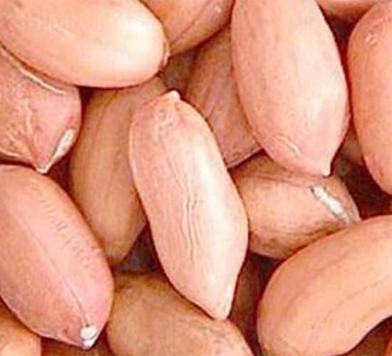 ����1̖-�����N��-���S�r�I(y��)