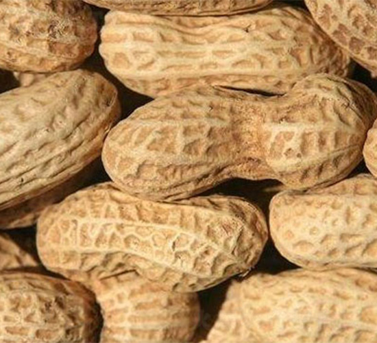 ԥ��15̖-�����N��-���S�r(n��ng)�I(y��)