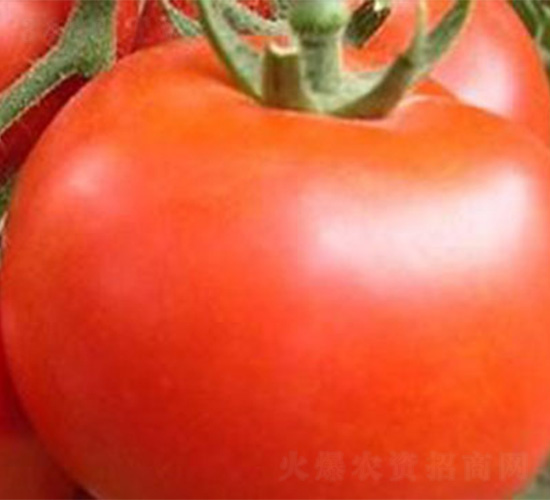 NA166-���ѷN��-���S�r(n��ng)�I(y��)