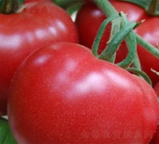 NA118-���ѷN��-���S�r(n��ng)�I(y��)