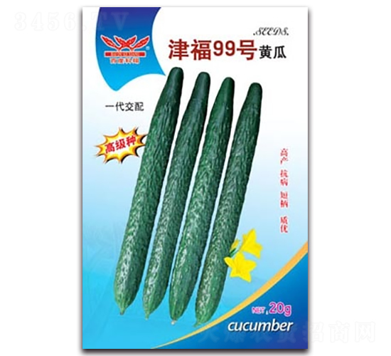 ��99̖(h��o)�S��-�S�ϷN��-����N�I(y��)