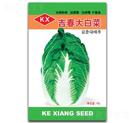 ������ײ�-��ײ˷N��-����N�I(y��)