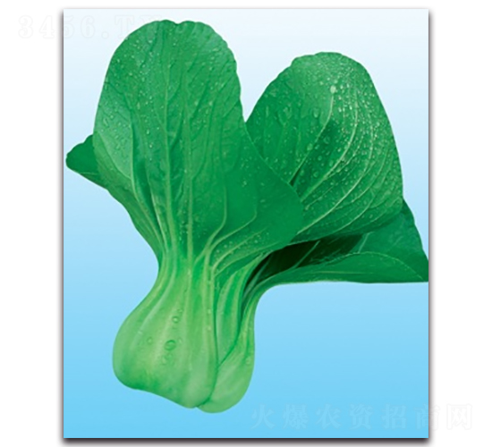 ���A�๣��-�๣�˷N��-����N�I(y��)