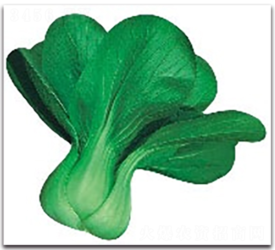 ����8̖(h��o)-�๣�˷N��-����N�I(y��)