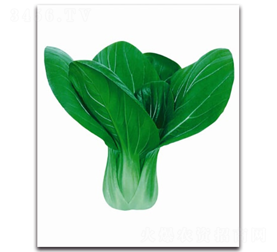 ����12̖�๣��-�๣�˷N��-����N�I(y��)