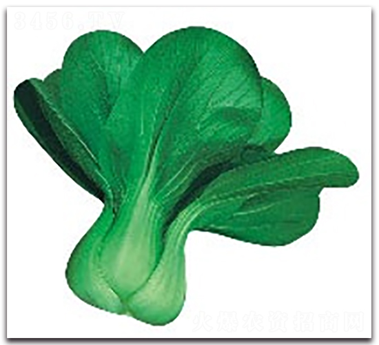 ��(��i)��4̖(h��o)-�๣�˷N��-����N�I(y��)