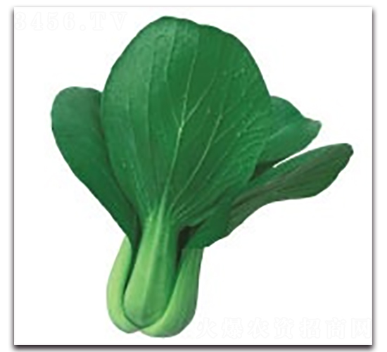 ����1̖(h��o)-�๣�˷N��-����N�I(y��)