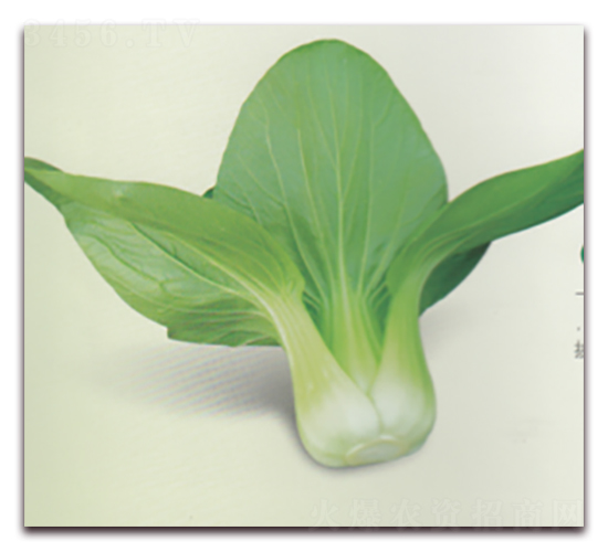 ����S600-�๣�˷N��-����N�I(y��)