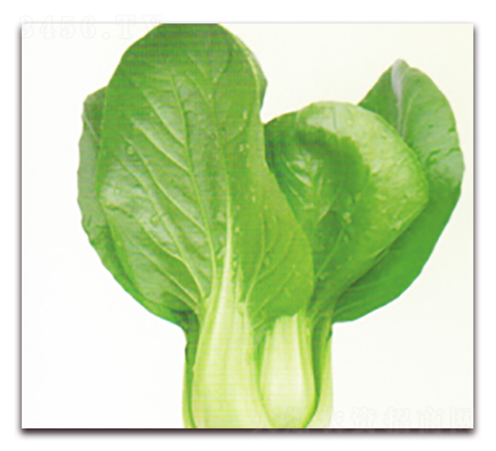 ����22̖(h��o)-�๣�˷N��-����N�I(y��)