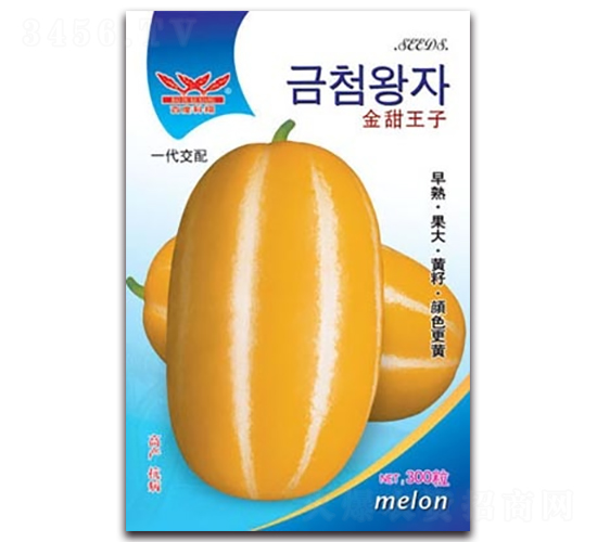 ��������-��ϷN��-����N�I(y��)