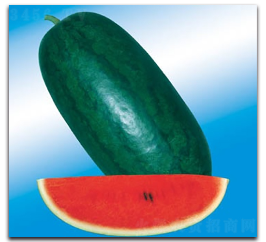 �_��������-���ϷN��-����N�I(y��)