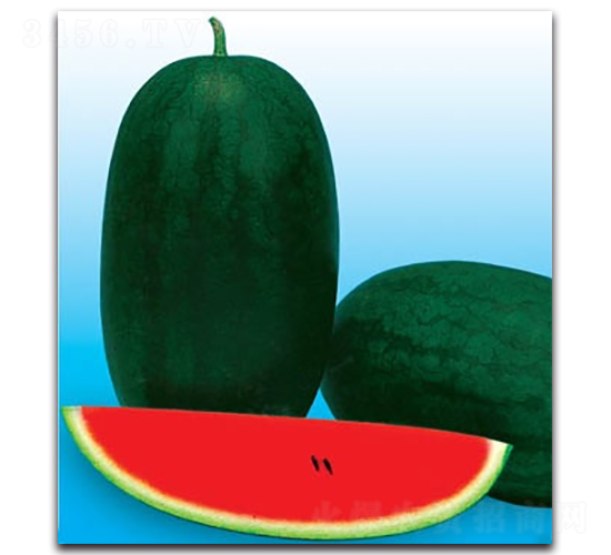 �_(t��i)��������-���ϷN��-����N�I(y��)