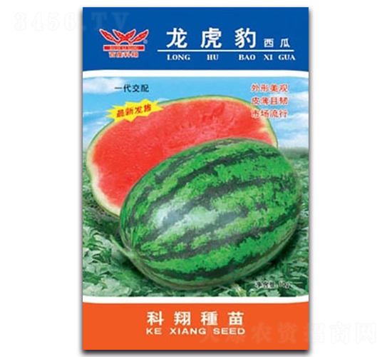 ����������-���ϷN��-����N�I(y��)