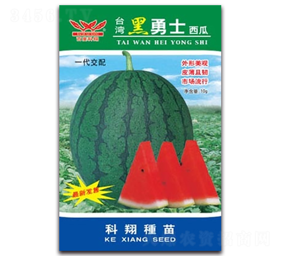 ����ʿ-���ϷN��-����N�I(y��)