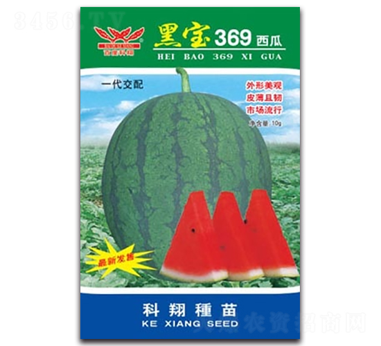 �ڌ�369����-���ϷN��-����N�I(y��)