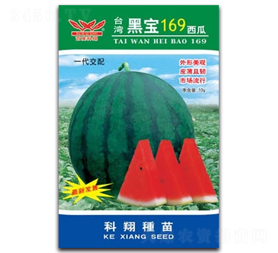 �ڌ�169����-���ϷN��-����N�I(y��)