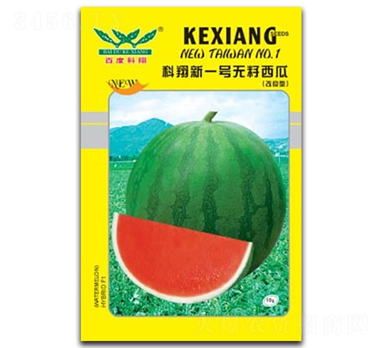 ������һ̖-���ϷN��-����N�I(y��)