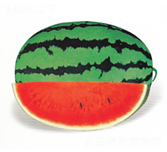 �����쌚����-���ϷN��-����N�I(y��)