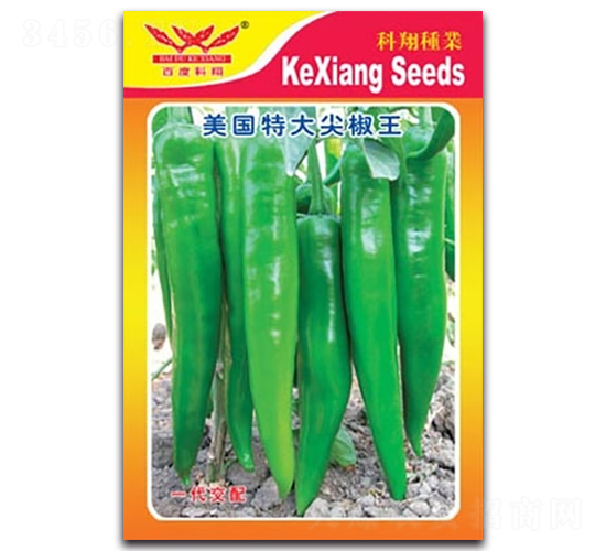 �����ش�⽷��-�����N��-����N�I(y��)