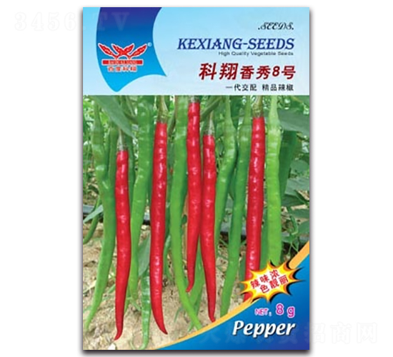 ��������8̖-�����N��-����N�I(y��)