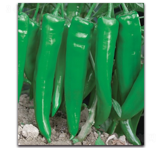 ��������7̖-�����N��-����N�I(y��)