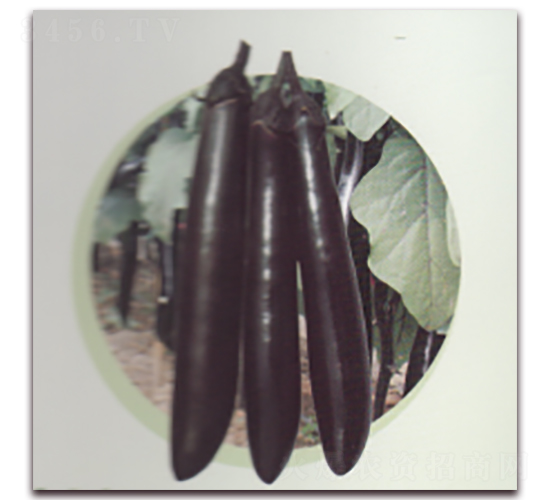 ����������-���ӷN��-����N�I(y��)